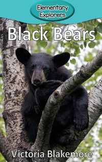 Cover image for Black Bears