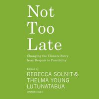 Cover image for Not Too Late