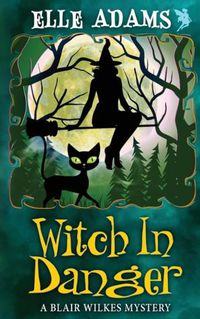 Cover image for Witch in Danger