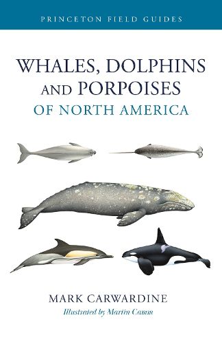 Cover image for Whales, Dolphins, and Porpoises of North America