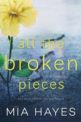 Cover image for All The Broken Pieces