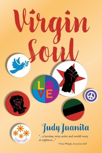 Cover image for Virgin Soul