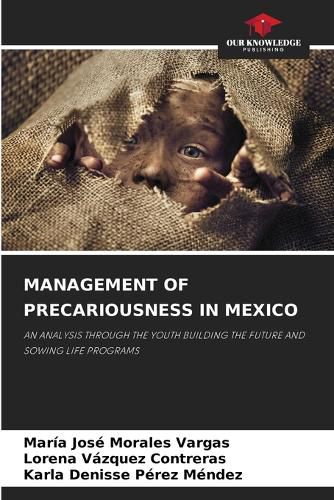 Cover image for Management of Precariousness in Mexico