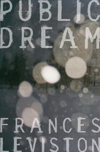 Cover image for Public Dream