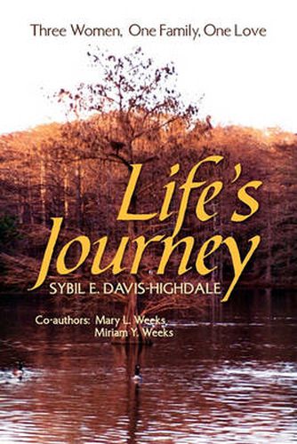 Cover image for Life's Journey