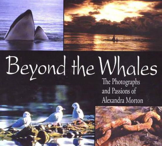 Cover image for Beyond the Whales: The Photographs and Passions of Alexandra Morton