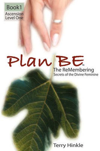 Cover image for Plan Be