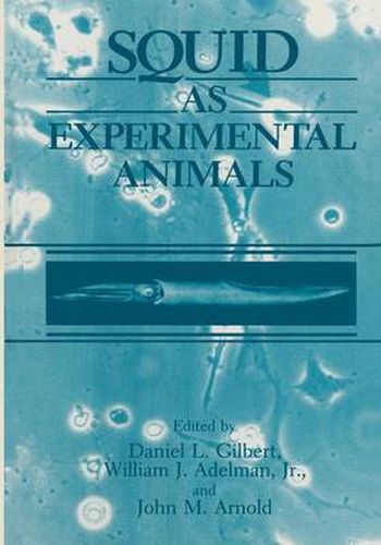 Cover image for Squid as Experimental Animals