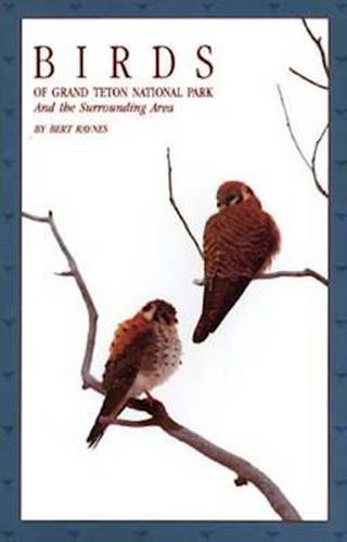 Cover image for Birds of Grand Teton National Park