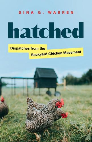 Cover image for Hatched: Dispatches from the Backyard Chicken Movement