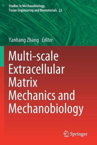 Cover image for Multi-scale Extracellular Matrix Mechanics and Mechanobiology