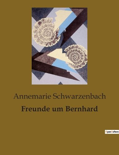 Cover image for Freunde um Bernhard