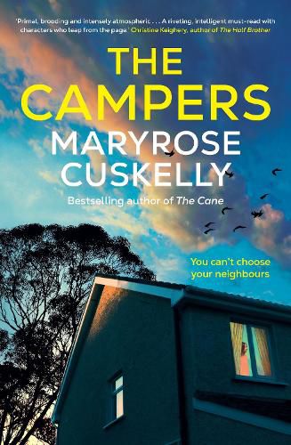 Cover image for The Campers