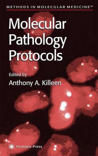 Cover image for Molecular Pathology Protocols