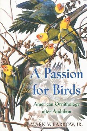Cover image for A Passion for Birds: American Ornithology After Audubon