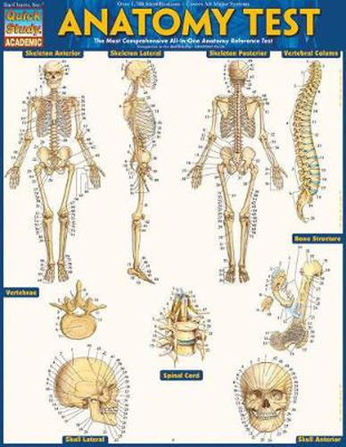 Cover image for Anatomy Test Reference Guide