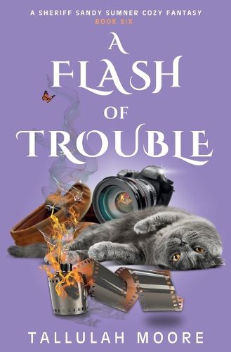 Cover image for A Flash of Trouble