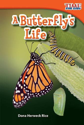 Cover image for A Butterfly's Life