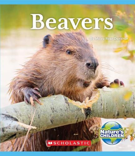 Beavers (Nature's Children) (Library Edition)