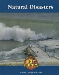 Cover image for Natural Disaster Response