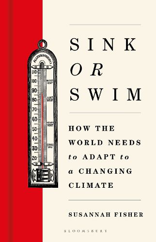 Cover image for Sink or Swim