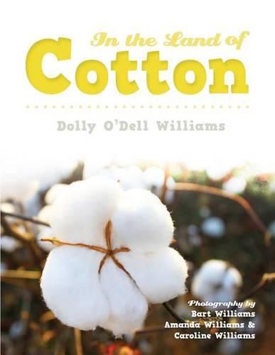 Cover image for In the Land of Cotton