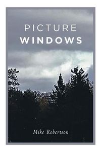 Cover image for Picture Windows