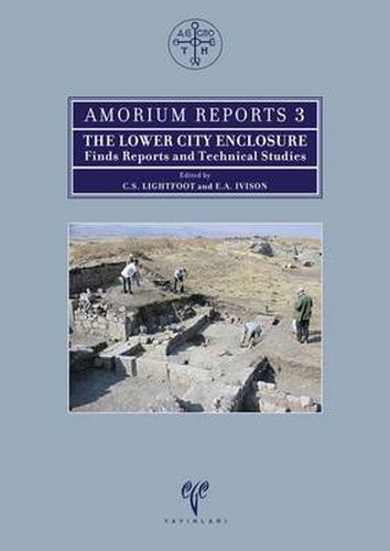 Cover image for The Lower City Enclosure: Finds Reports and Technical Studies