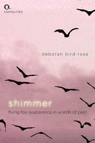 Shimmer: Flying Fox Exuberance in Worlds of Peril