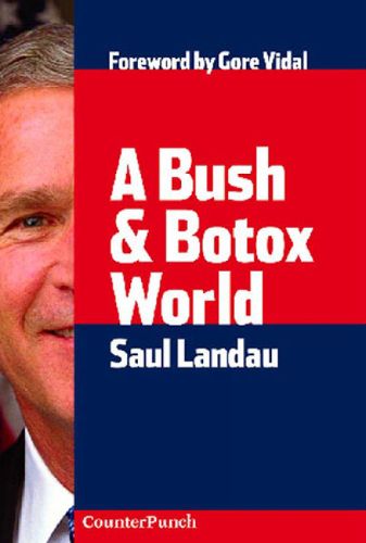 Cover image for A Bush And Botox World: Travels Through Bush's America