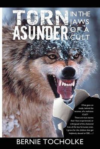 Cover image for Torn Asunder