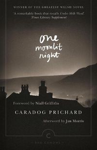 Cover image for One Moonlit Night
