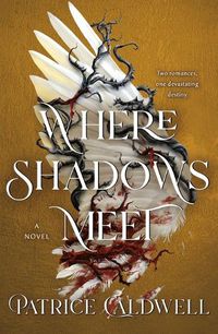 Cover image for Where Shadows Meet