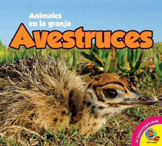 Avestruces