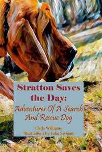 Cover image for Stratton Saves the Day