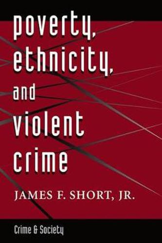 Cover image for Poverty, Ethnicity, And Violent Crime