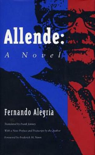 Cover image for Allende: A Novel