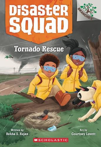 Cover image for Tornado Rescue: A Branches Book (Disaster Squad #4)