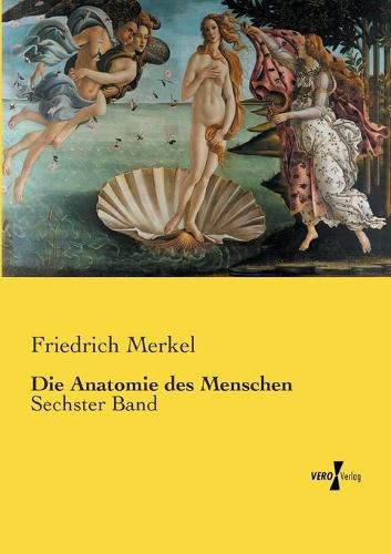 Cover image for Die Anatomie des Menschen: Sechster Band