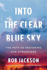 Cover image for Into the Clear Blue Sky