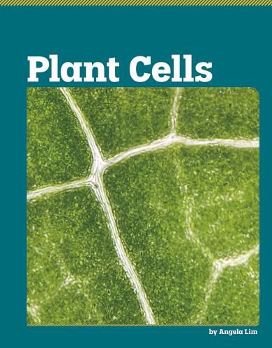 Cover image for Plant Cells