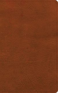 Cover image for NASB Single-Column Personal Size Bible, Burnt Sienna Leathertouch