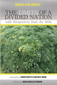 Cover image for The Limits of a Divided Nation with Perspectives from the Bible