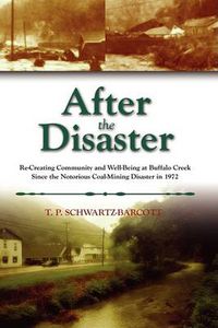 Cover image for After the Disaster: Re-Creating Community and Well-Being at Buffalo Creek Since the Notorious Coal Mining Disaster in 1972