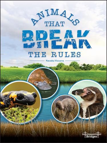 Cover image for Animals That Break the Rules