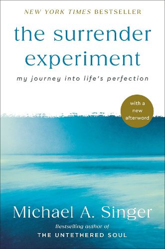 Cover image for The Surrender Experiment
