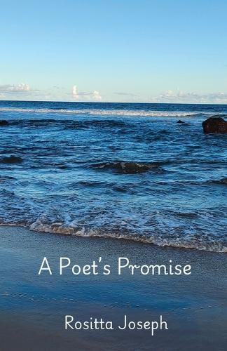 Cover image for A Poet's Promise