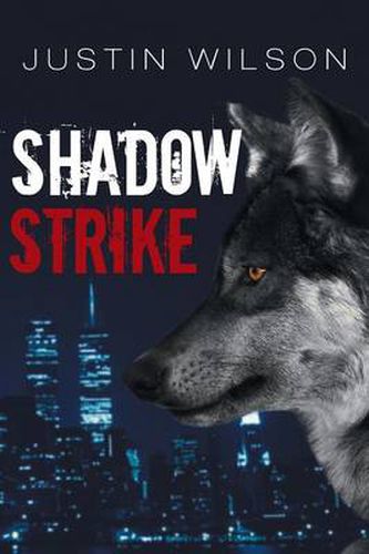 Cover image for Shadowstrike