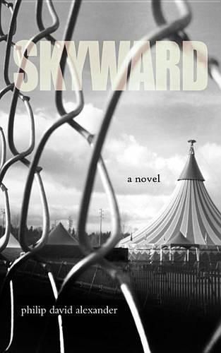 Cover image for Skyward