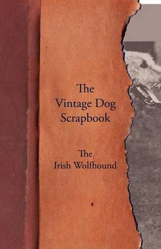 Cover image for The Vintage Dog Scrapbook - The Irish Wolfhound